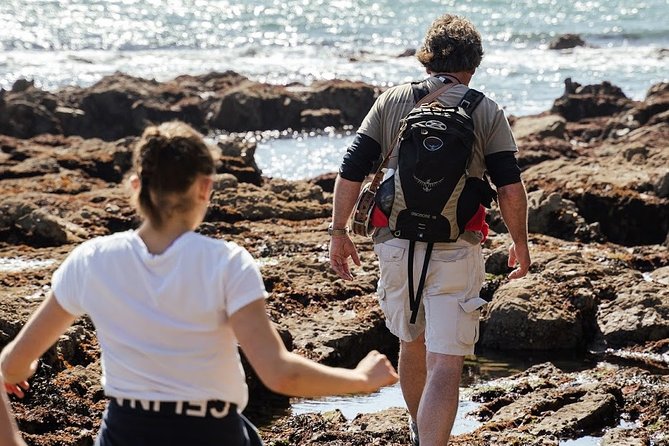 Howth Safari Hiking Tour - Doldrum Beach and the coastal caves