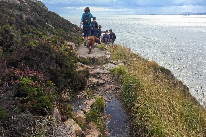 Howth Safari Hiking Tour - Choosing Howth Summit or returning through the village