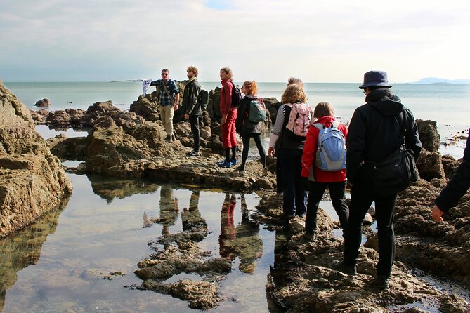 Howth Safari Hiking Tour - Bog of the Frogs and the first views across Dublin Bay