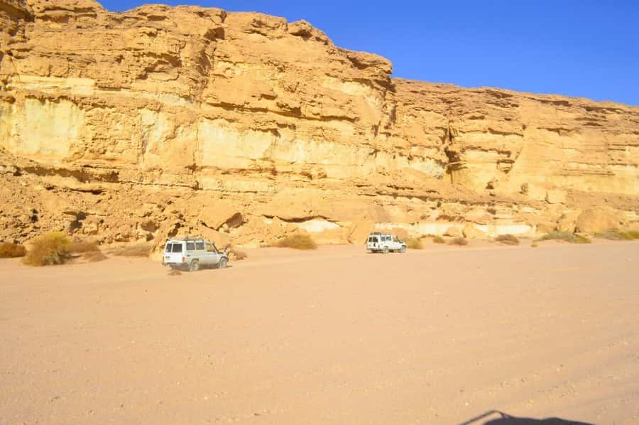 Hurghada: Hiking , dinner & stargazing - Reaching the oasis farm and camel area