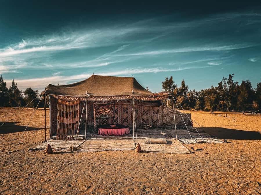 Hurghada: Hiking , dinner & stargazing - Sunset, dinner, and the desert after dark