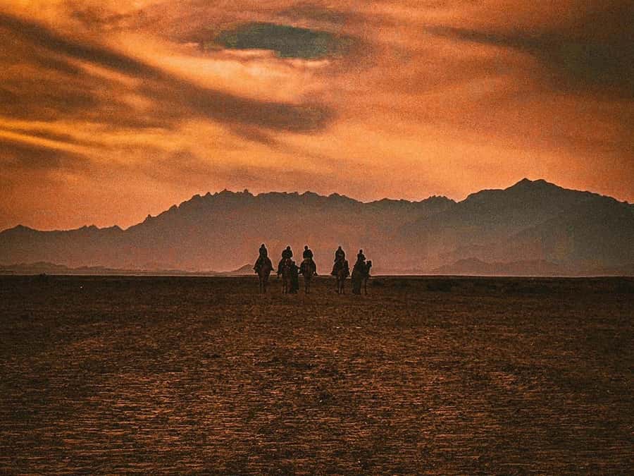 Hurghada: Hiking , dinner & stargazing - Who should book this outing