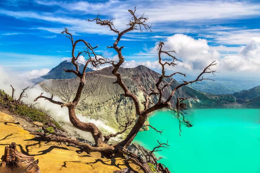 Ijen Crater Blue Fire Night Hike - Sulfur miners add a human side to the view