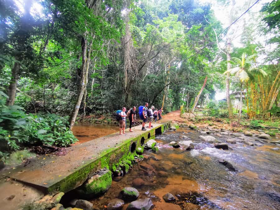 Ilha Grande: Private Hiking with Forest, Beaches & Waterfall - Key points to know before you book