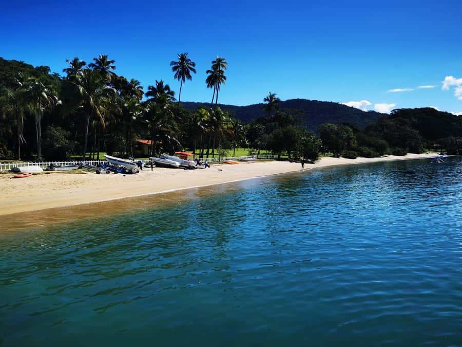 Ilha Grande: Private Hiking with Forest, Beaches & Waterfall - Fora Beach and the included drink