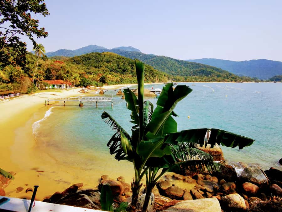 Ilha Grande: Private Hiking with Forest, Beaches & Waterfall - A moderate climb through Atlantic Forest