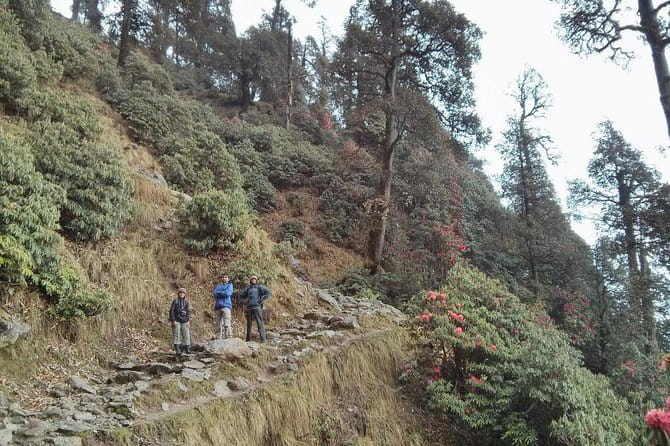 Indrahar Pass Trek with Manu Adventures India - What the trek gives you beyond the summit