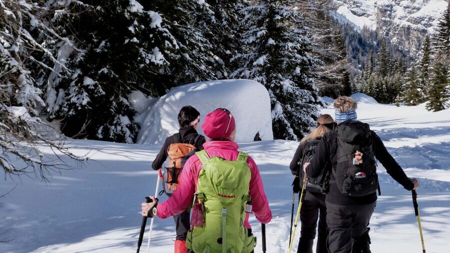 Innsbruck: Priv. Guided Snowy Mountain Hike /Snowshoe´s - Pickup From Innsbruck and the First Mountain Decision