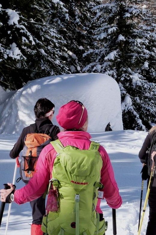 Innsbruck: Priv. Guided Snowy Mountain Hike /Snowshoe´s - Patscherkofel, Hochmahd, and the Quieter Side of Tyrol