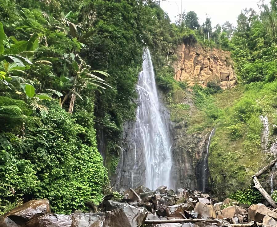 Jakarta: Botanical Garden & Rainforest Trekking to Waterfall - Key points to know before booking