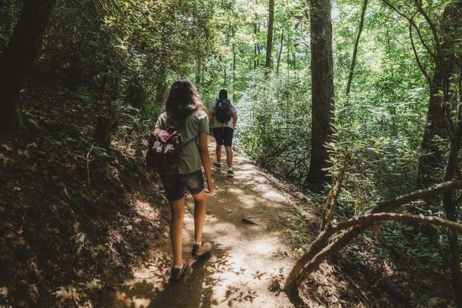 Jakarta: Botanical Garden & Rainforest Trekking to Waterfall - The 2.5-kilometer walk to Cikaracak Waterfall