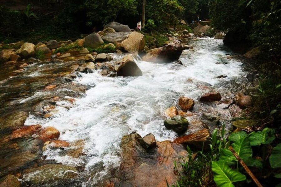 Jakarta: Botanical Garden & Rainforest Trekking to Waterfall - Indonesian lunch in Bogor
