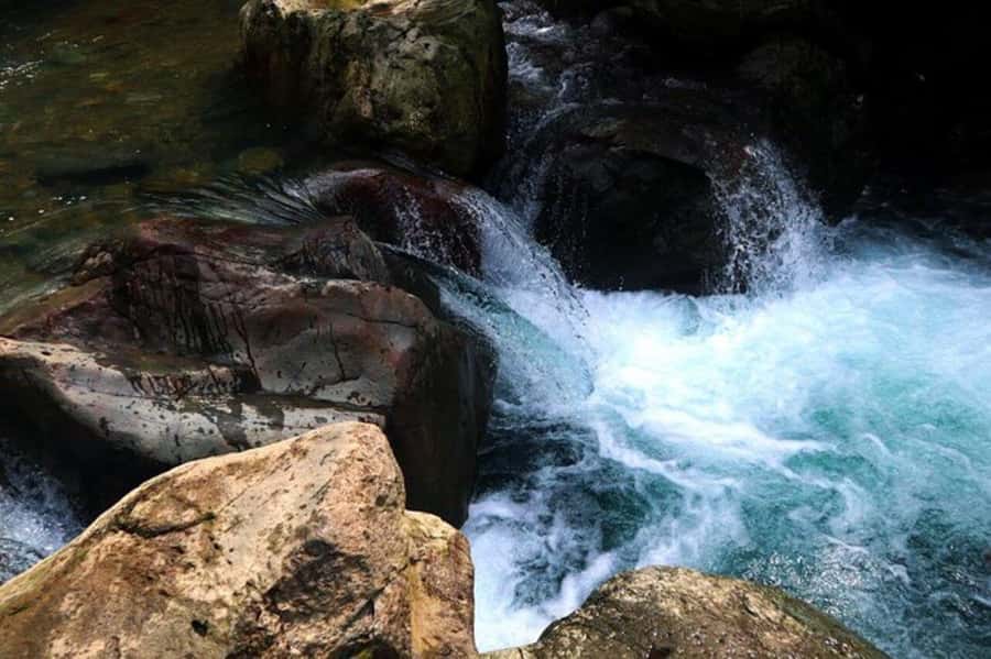 Jakarta: Botanical Garden & Rainforest Trekking to Waterfall - How the day usually feels