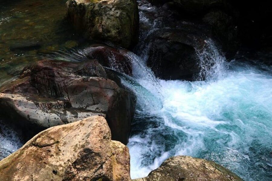 Jakarta: Botanical Garden & Rainforest Trekking to Waterfall - Who should book this Bogor day trip?