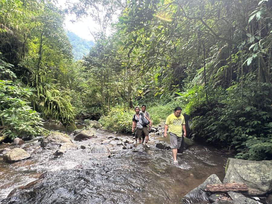 Jakarta: Botanical Garden & Rainforest Trekking to Waterfall - Bogor Botanical Garden and its presidential setting