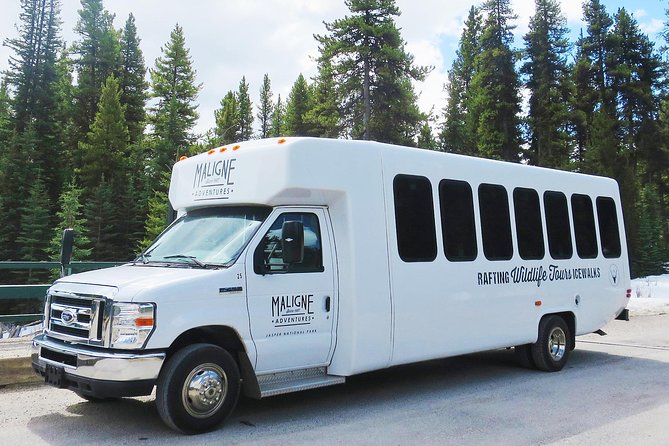 Jasper Wildlife and Sightseeing Tour with Maligne Lake Hike - How good is the $81.90 price?