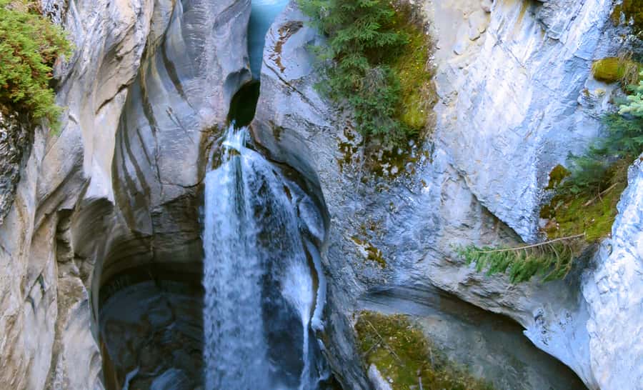Jasper: Wildlife and Waterfalls Tour with Lakeshore Hike - Key points to know before you book