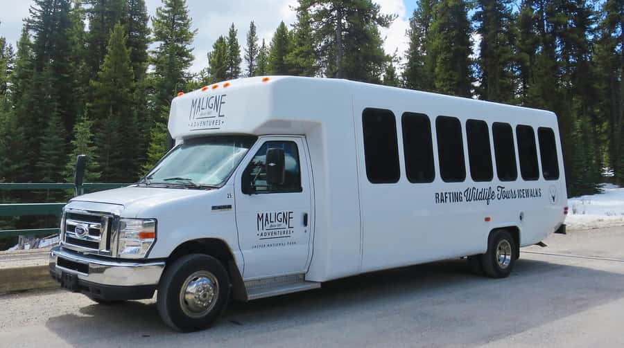 Jasper: Wildlife and Waterfalls Tour with Lakeshore Hike - Maligne Canyon, waterfalls, and the current access problem