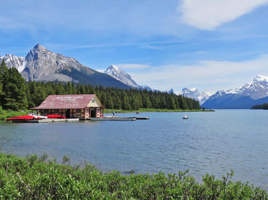 Jasper: Wildlife and Waterfalls Tour with Lakeshore Hike - Medicine Lake and its disappearing water
