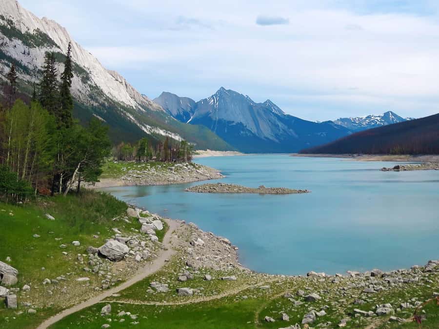 Jasper: Wildlife and Waterfalls Tour with Lakeshore Hike - Weather, pickup, and what to bring