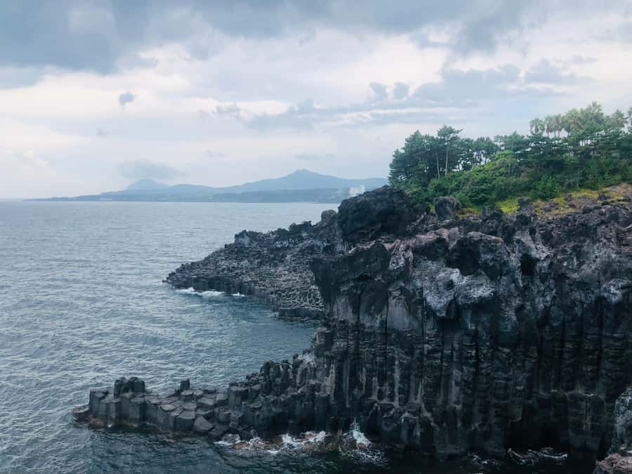 Jeju: Mt. Hallasan Hike and UNESCO Sites Day Tour - Tea fields at Seogwi Dawon