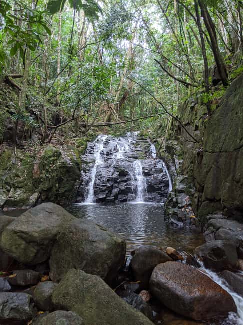 Jungle Adventure Hike:Climb, Waterfall, Discover Seychelles! - Climbing toward Gorilla Rock