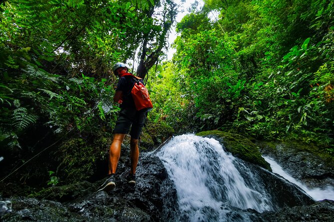 Jungle Hike with Canyoning and Rappelling in Drake Bay - Key points to know before you book