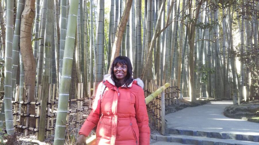 Kamakura: Daibutsu Hiking Trail Tour with Local Guide - Heat, illness, and the need for flexibility