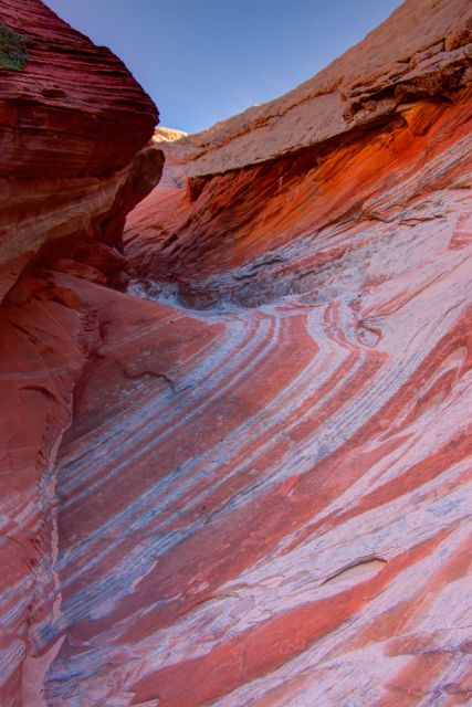 Kanab: White Pocket Hiking Tour in Vermilion Cliffs - What the $220 price covers
