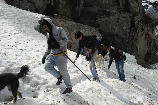 Kareri Lake Trek & Indrahar Pass Trek - Day one, from Dharamsala to Rioti campsite