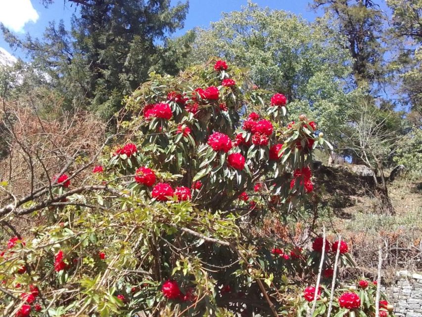 Kathmandu: 10-Day Adventurous Annapurna Circuit Trek - Day 4: Upper Pisang to Manang and the first big mountain views