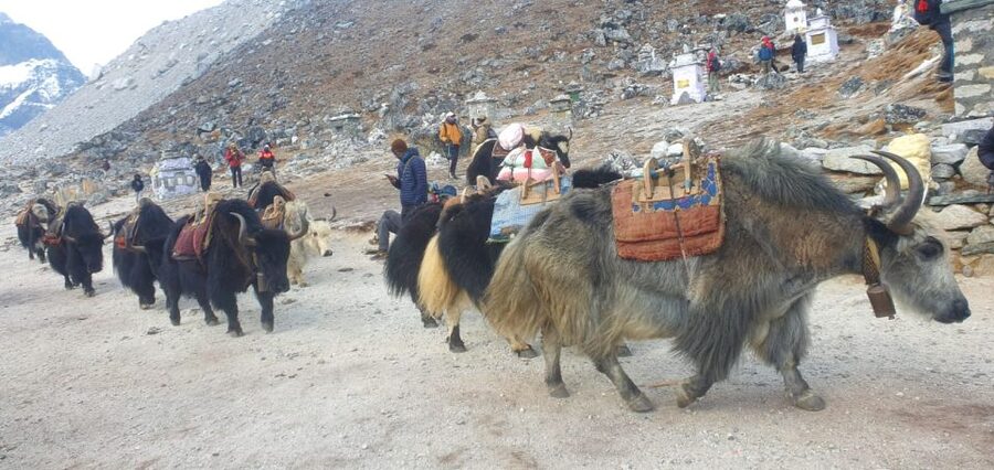 Kathmandu: 14-Day Everest Base Camp with Kala Patthar Trek - Three days back to Kathmandu