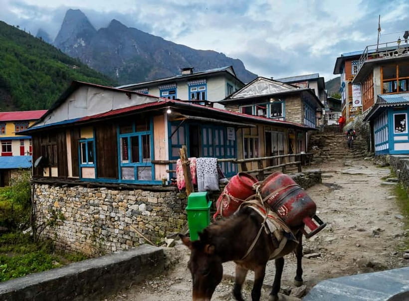 Kathmandu: 15-Day Everest Base Camp Trek with Guide - Namche Bazaar and the first real altitude test