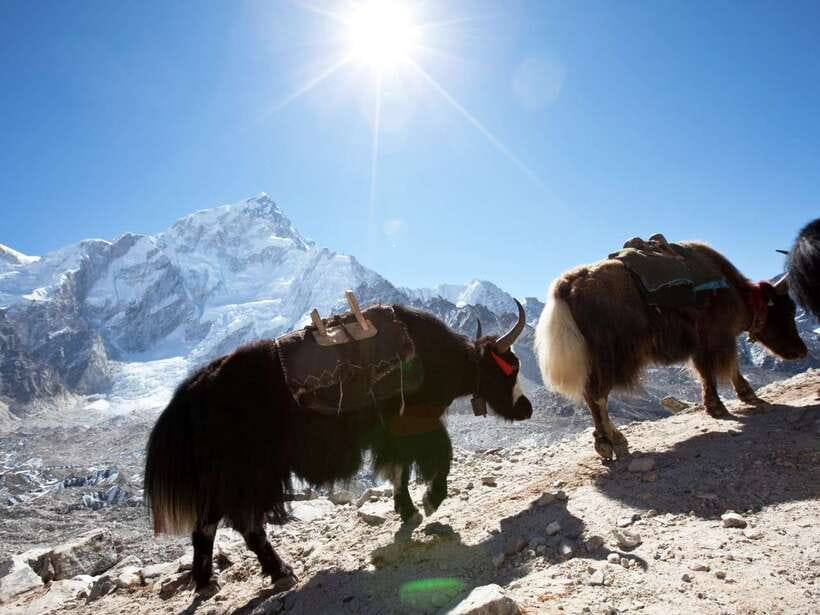 Kathmandu: 6 Days Langtang Valley Trek with Kyanjin Ri - Why this Langtang trek works in six days