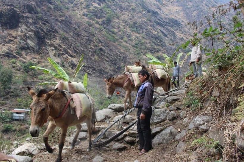 Kathmandu: 9-Day Annapurna Circuit Trek via Thorong La Pass - Day 5: Acclimatization in Manang