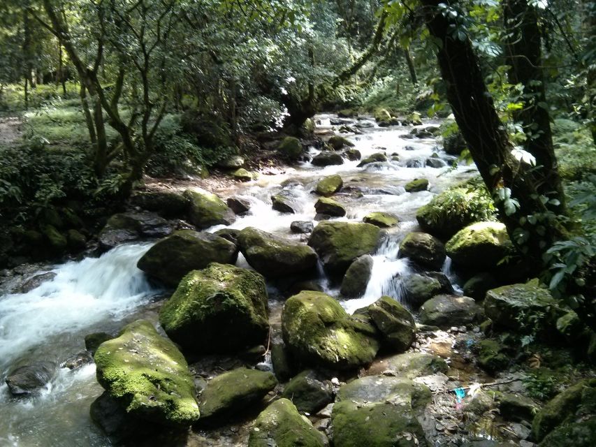Kathmandu: Chisapani Nagarkot 3-Days 2-Nights Trek - Key points to know before you book