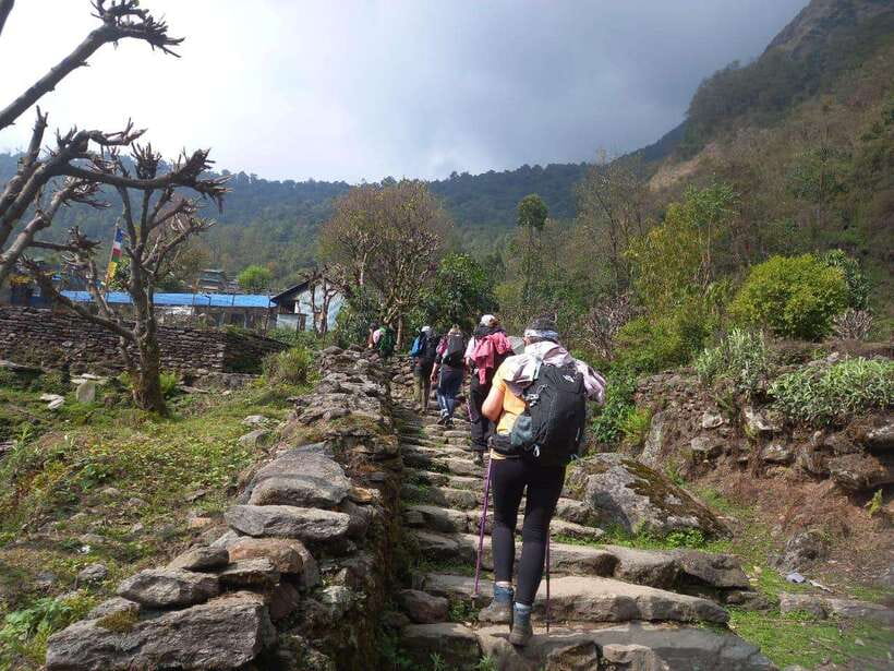 Kathmandu/Pokhara: 5-Day Annapurna Base Camp (ABC) Trek - Day 3: Deurali to Machhapuchhre Base Camp and ABC