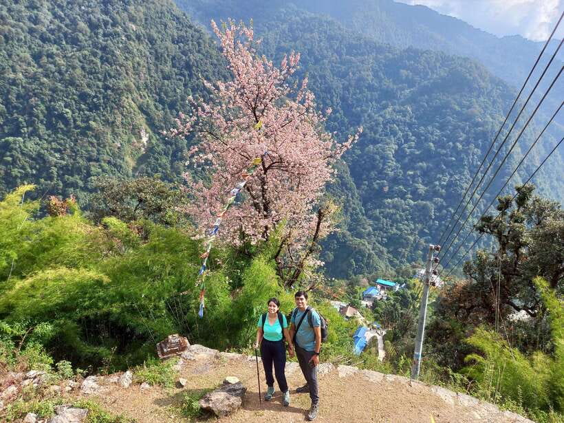 Kathmandu/Pokhara: 5-Day Annapurna Base Camp (ABC) Trek - Day 5: Jhinu Danda and the ride back to Pokhara
