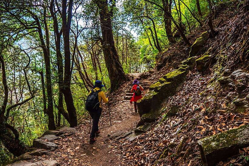 Kathmandu: Shivapuri Day Hike with Lunch - Shivapuri Peak at 2,732 meters