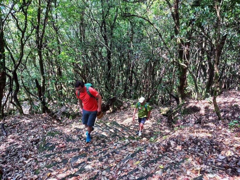 Kathmandu: Shivapuri Day Hike with Lunch - Guides, language, and the private format