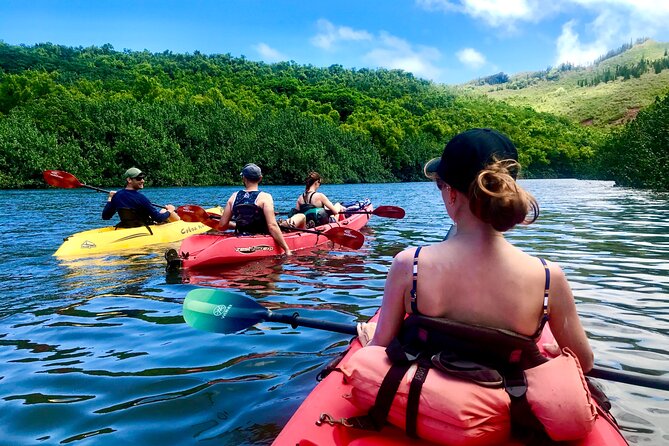 Kauai Adventure: Kayak & Hike to Secret Falls with Expert Guide - Paddling into the Wailua River Valley