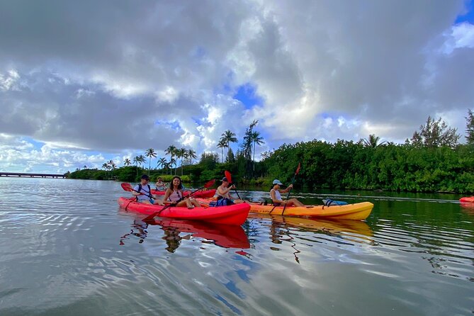 Kauai Adventure: Kayak & Hike to Secret Falls with Expert Guide - Returning to the marina