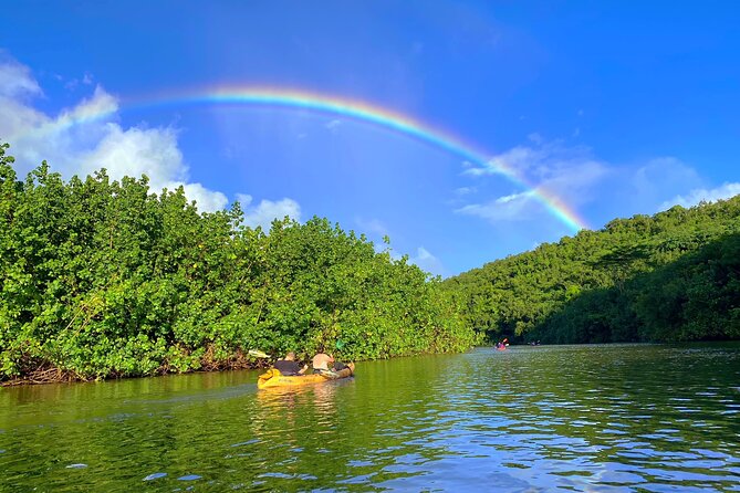 Kauai Adventure: Kayak & Hike to Secret Falls with Expert Guide - What the $140 price really covers