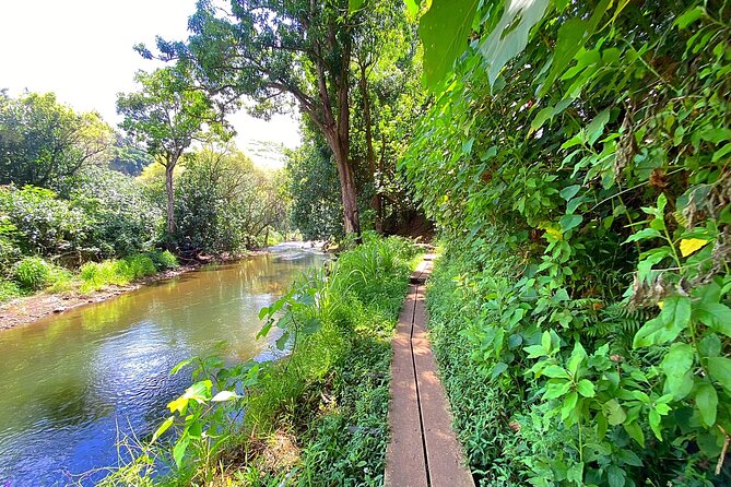 Kauai Adventure: Kayak & Hike to Secret Falls with Expert Guide - Who should book this trip