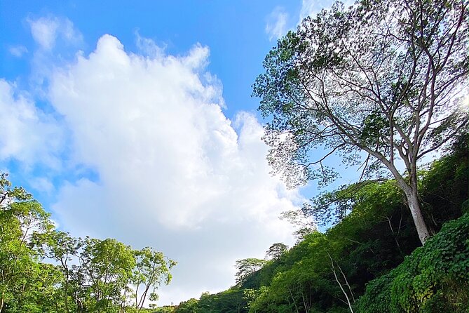 Kauai Adventure: Kayak & Hike to Secret Falls with Expert Guide - Should you book the Secret Falls kayak and hike?