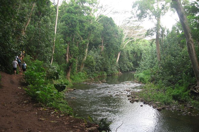 Kauai Adventure: Kayak & Hike to Secret Falls with Expert Guide - Leaving the kayaks for a muddy rainforest trail