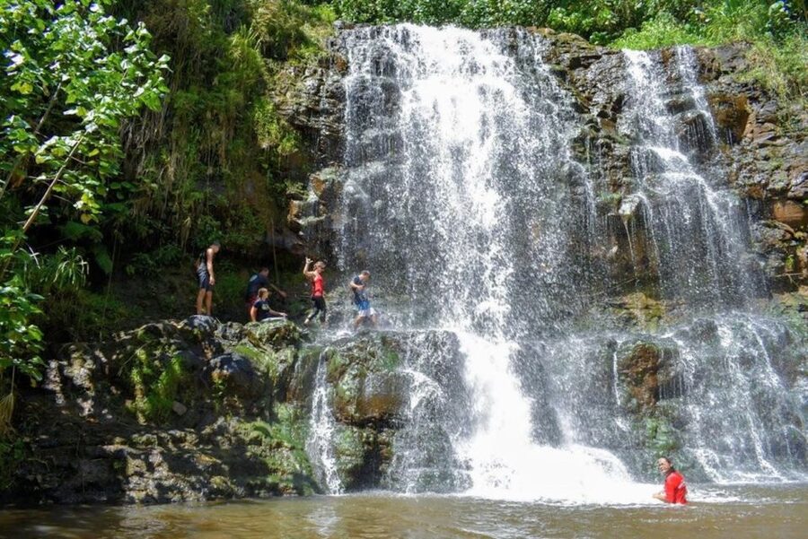Kauai: Guided Hike and Waterfall Swim - Key points at a glance