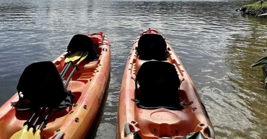Kauai: Guided Kayak and Hike to Secret Falls - Reaching 100-foot Uluwehi Falls