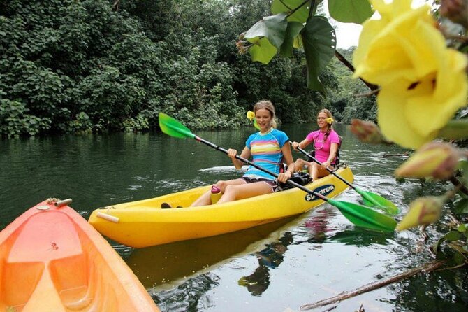 Kauai: Secret Falls Kayak and Hike - A river journey before the waterfall