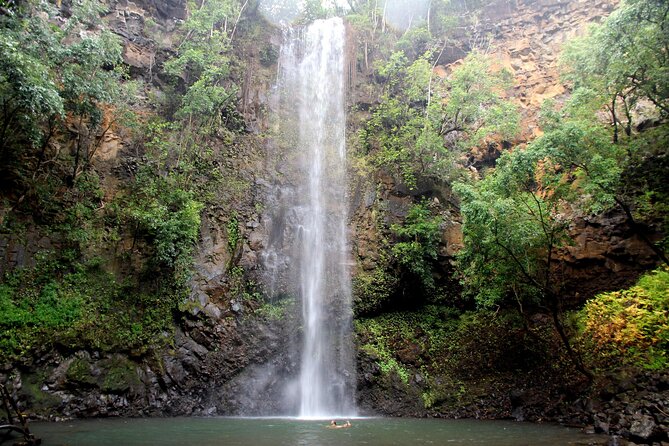 Kauai: Secret Falls Kayak and Hike - What the $125 price buys you